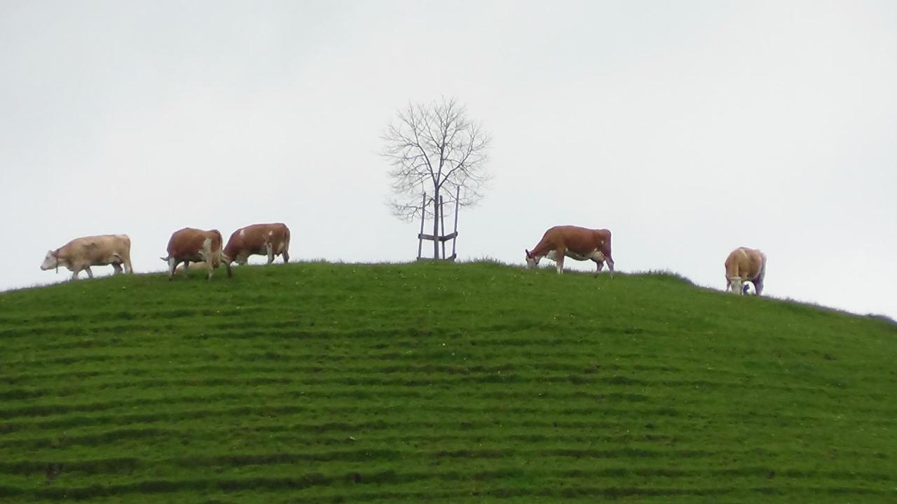 Krindenhof *